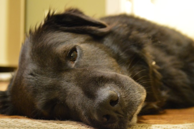 Max was tired from packing.