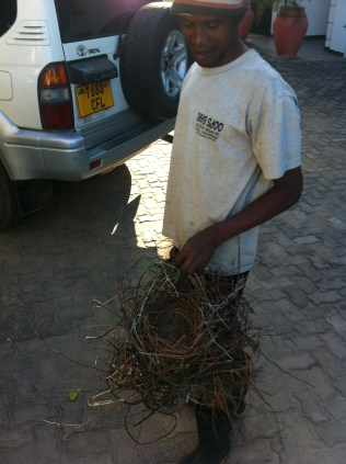 Ima with the nest - look closely for the coat hanger.