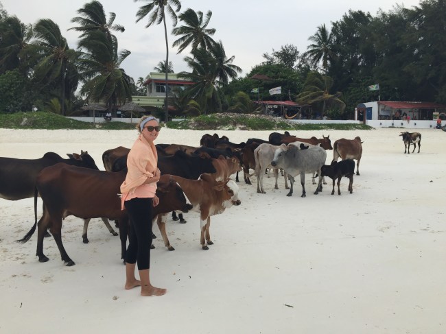 Yet another reason to love Zanzibar!  (Shannon loves cows)