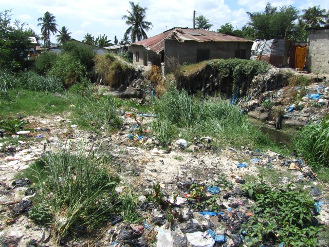 Many areas of Dar look like this (especially slums like this one, near Tandale)