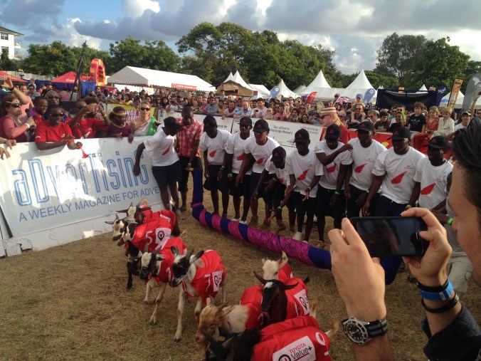 Charity Goat Races in Dar. You never know what you'll see next here. 