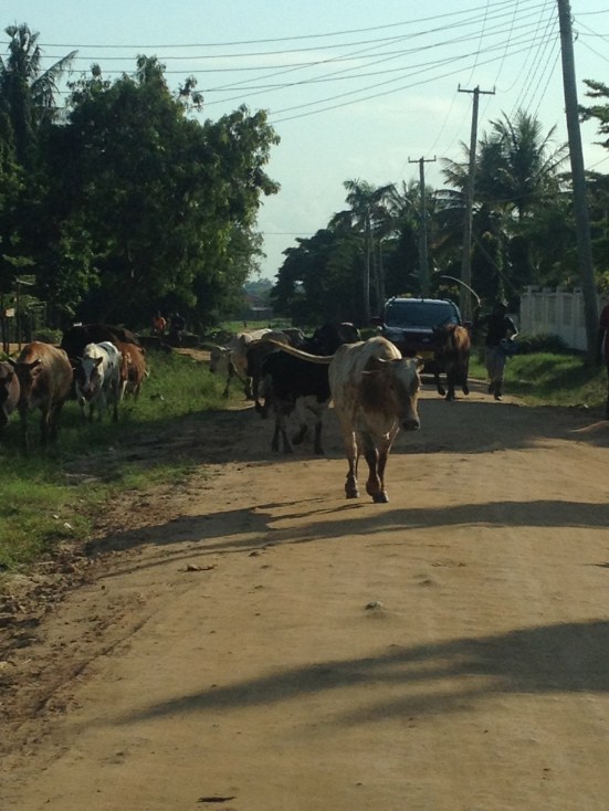 Typical side-road in Dar